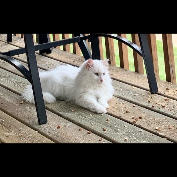 About me - Picture 10 of 13